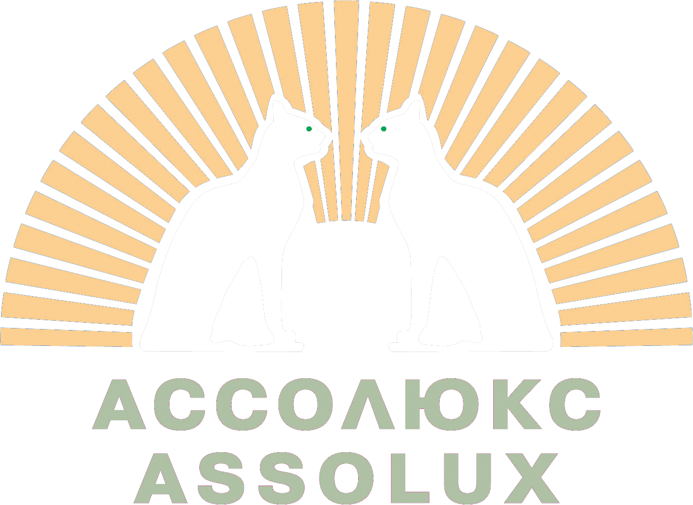 Лого Ассолюкс